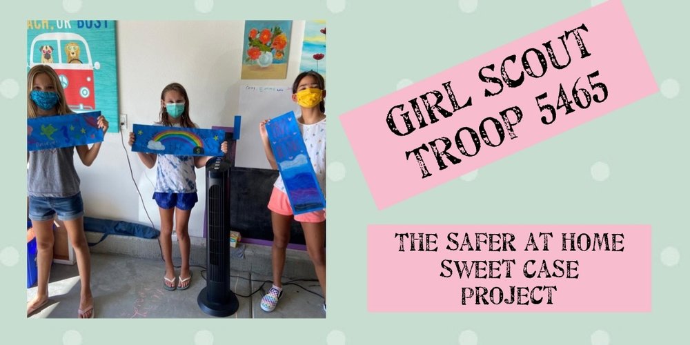 Girl Scout Troup