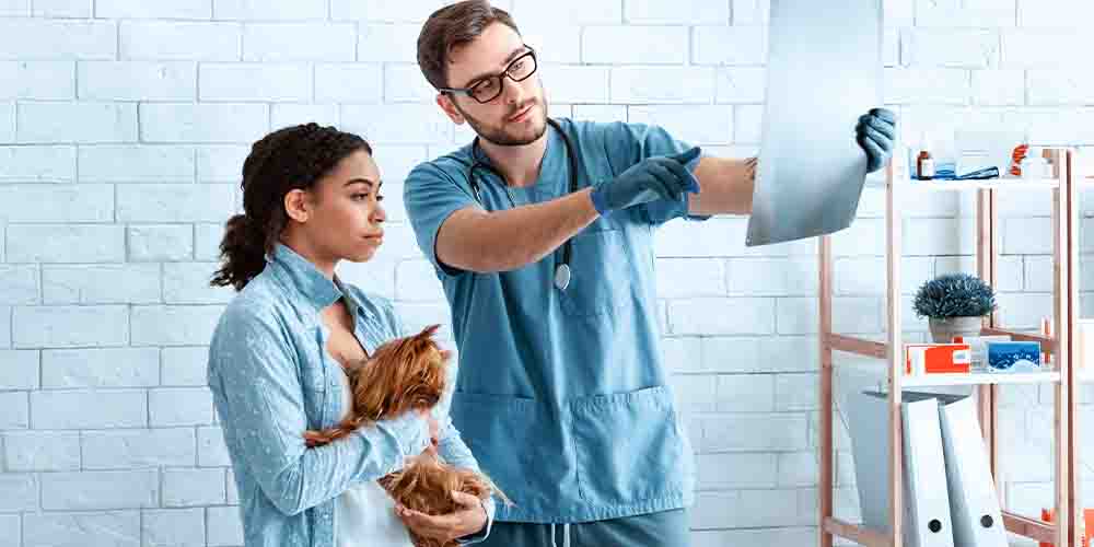 vet tech scholarship recipients studying in class