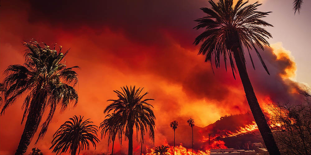 california fire relief donations