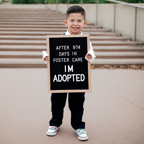 Do You Have To Foster Before You Can Adopt Foster Love