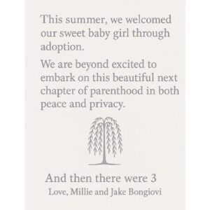 Millie and Jake's adoption announcement post on Instagram