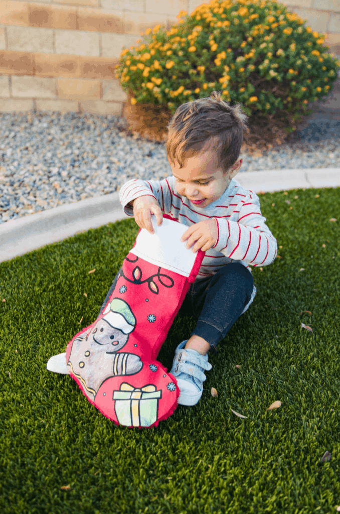 Holiday_Box_2024_2 (1)@2x