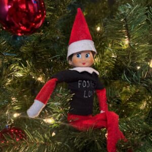 Elf on the Shelf in a tree