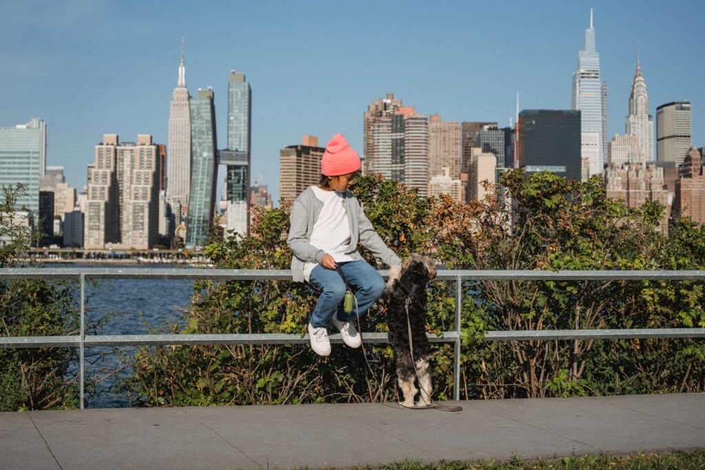 how much does adopting a child in new york cost